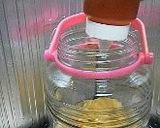 はちみつ入り減塩梅干し作り方10写真