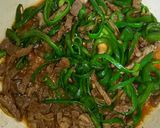 簡単♪青椒肉絲的な物(/o＼)作り方11写真