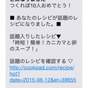 時短！簡単！カニカマと卵のスープ！作り方4写真
