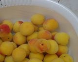 はちみつ入り減塩梅干し作り方4写真