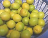 蜂蜜屋さんの簡単はちみつ梅作り方1写真