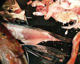 真あじ&ほうぼう☆お刺身とお味噌汁作り方16写真
