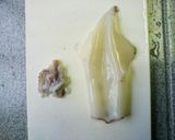 ぷりぷり♪剣先イカのたたき作り方2写真
