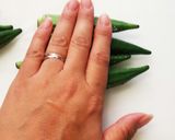 鶏肉とおくらのトマト煮作り方3写真