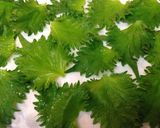 豚肉の梅しそ巻き作り方1写真