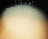 ツナの炊き込み御飯作り方1写真