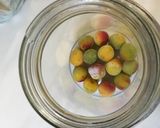 梅ジュース2015ー1週間で飲める!作り方17写真