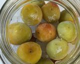梅ジュース2015ー1週間で飲める!作り方21写真