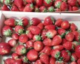 簡単　レンジでチン　いちご大福作り方1写真