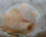 簡単☆新生姜の佃煮☆保存作り方9写真