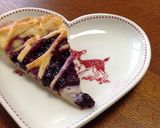 Cチーズカスタードとブルーベリーのパイ作り方20写真