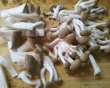 簡単！豚ヒレ肉と　きのこの赤ワイン煮込み作り方1写真