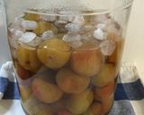 梅ジュース2015ー1週間で飲める!作り方29写真