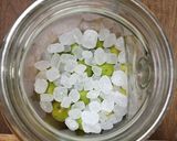 梅酒2015作り方13写真