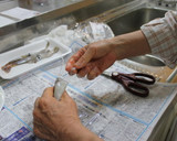 圧力鍋でイカと大根の煮付け作り方4写真