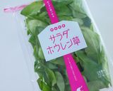 ベビーリーフで２種のオシャレ惣菜パン♪作り方14写真