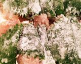 ♪鶏胸肉の大葉巻き~簡単☆梅肉ソース♪作り方5写真
