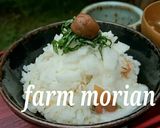 農園レシピ・梅しそ麦とろごはん作り方5写真