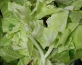 ふわふわめかじき作り方6写真