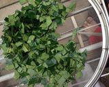 簡単！柿の葉茶作り方3写真