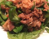 ピリ辛！簡単豚肉ピーマン炒め作り方2写真