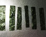 おつまみ・お弁当に☆えのきベーコン巻き作り方2写真