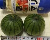 スイカのマリネ〜(o˘◡˘o)♡作り方1写真