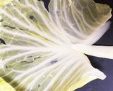 ロールキャベツでダイエット作り方6写真