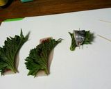 疲労回復魚屋ジューシー太刀魚桜葉梅巻き作り方10写真