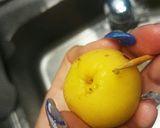 自家製あんず酒★ウイスキー＆ラム【覚書】作り方3写真