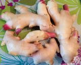 高級寿司店を目指した＊絶品ガリ作り方1写真