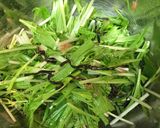 ５分で！水菜のパリパリ梅こんぶサラダ作り方4写真