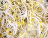 もやしのクッパ 本場韓国の味！作り方4写真