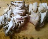 山東菜と　きのこピーマン　鶏肉の　中華煮作り方1写真