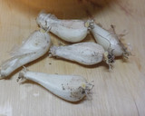 らっきょの簡単醤油漬け作り方3写真