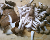 簡単！煮物♪ 白菜 きのこ 卵の和風煮作り方1写真