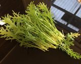 水菜と油揚げのおひたし作り方1写真