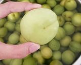 青梅の白だし漬け作り方1写真