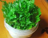 鶏生姜大葉揚げ作り方10写真