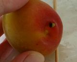 梅ジャム作り方6写真