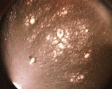 アサイチ風☆あんかけパラパラチャーハン作り方4写真