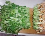豆苗の炒め物作り方2写真