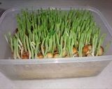 豆苗の炒め物作り方9写真