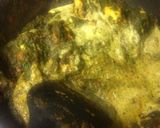 ほうれん草とトマトのココナッツカレー作り方5写真