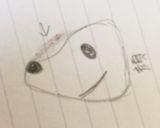 スヌーピー キャラ弁作り方3写真
