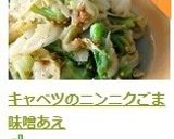 キャベツのニンニクごま味噌あえ作り方9写真