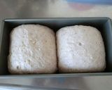 ココナッツオイルでくるみ角食作り方8写真