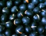 ♪香ばしい！黒豆茶♪作り方1写真