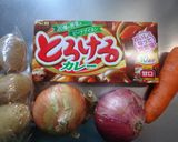 最速のキャンプカレー作り方1写真