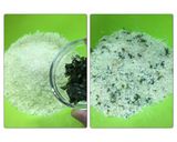 シイラの☆香草パン粉焼き☆生バジル作り方1写真